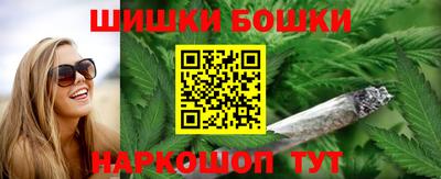 гашик Будённовск