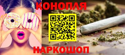 гашик Будённовск