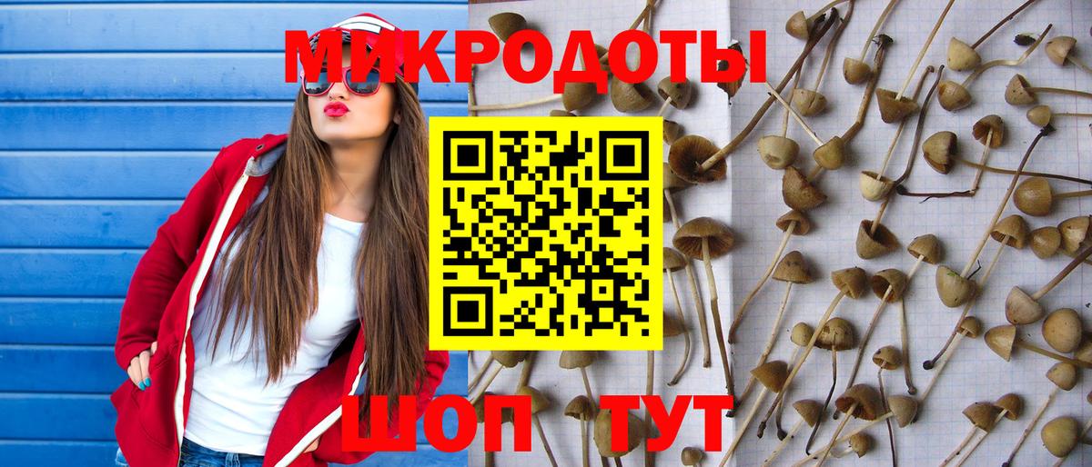 Карабулак  Галлюциногенные грибы MAGIC MUSHROOMS  Вход с VPN 