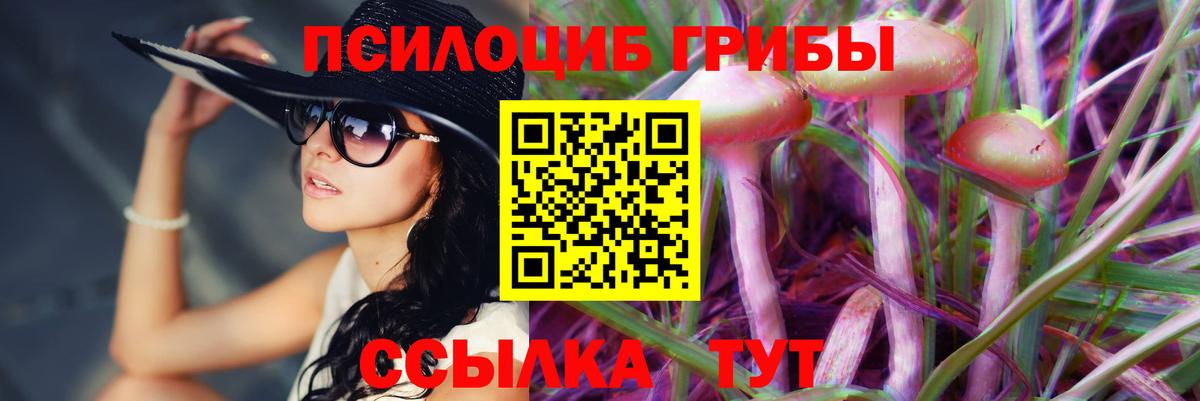 Галлюциногенные грибы Magic Shrooms Карабулак